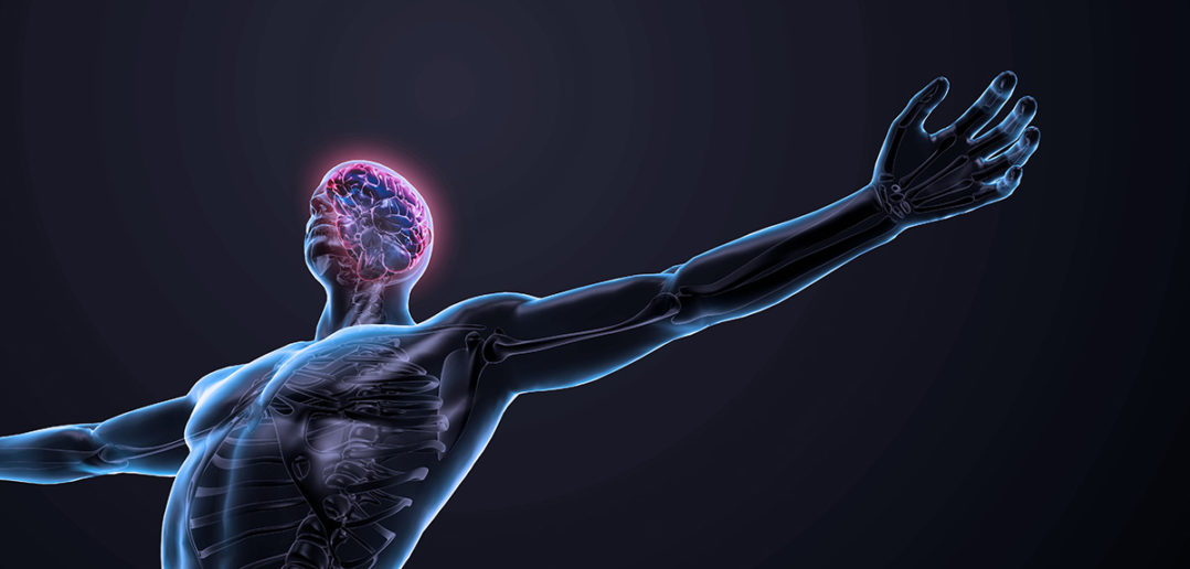 Anthropologie beim Sport: Welcher Typ sind Sie?