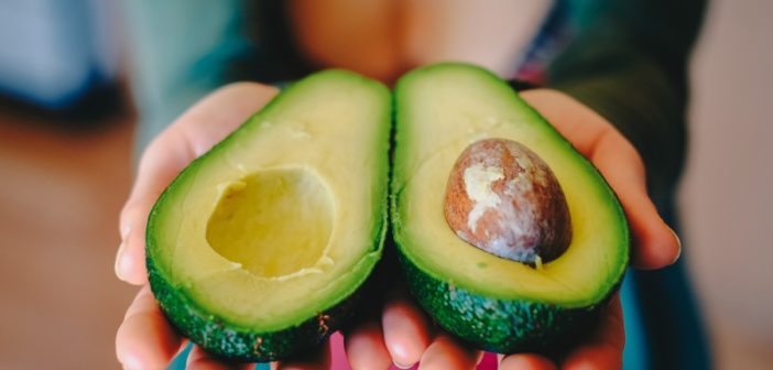 Avocado, Fettsäuren, Vitamine, Ernährung