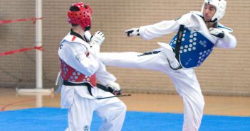 Schnelligkeit und Reflex im Kampfsporttraining (Teil I)