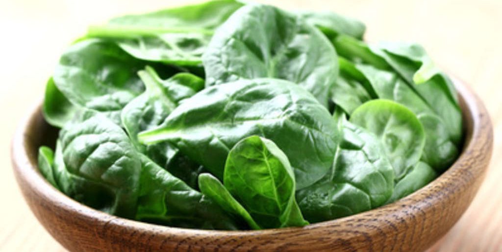 Sorgt Spinat wirklich für ein höheres Muskelwachstum