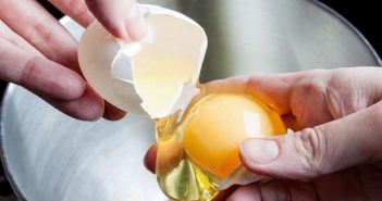 Eiklar: Das beste Protein?