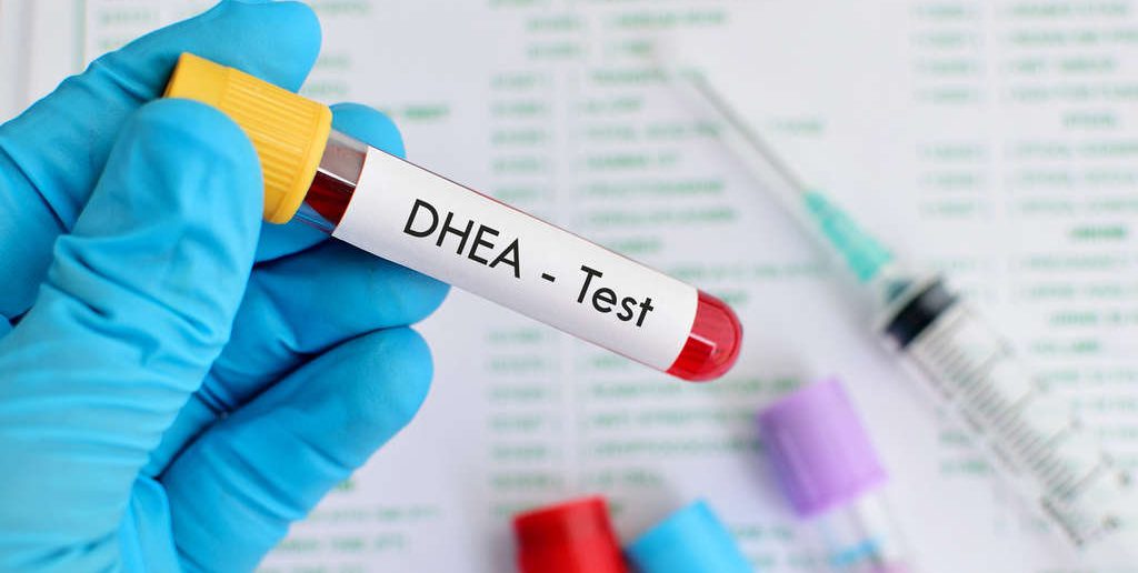 dhea