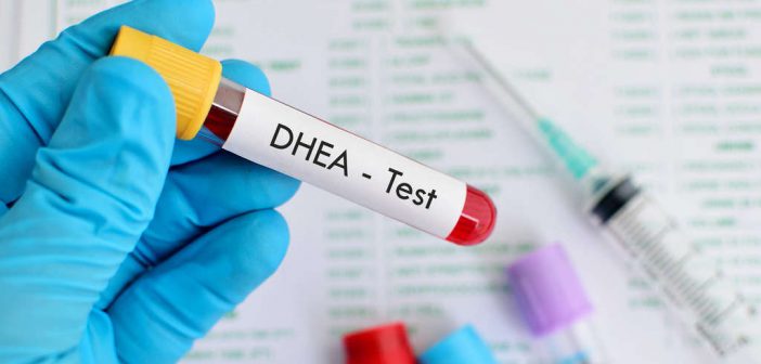 dhea