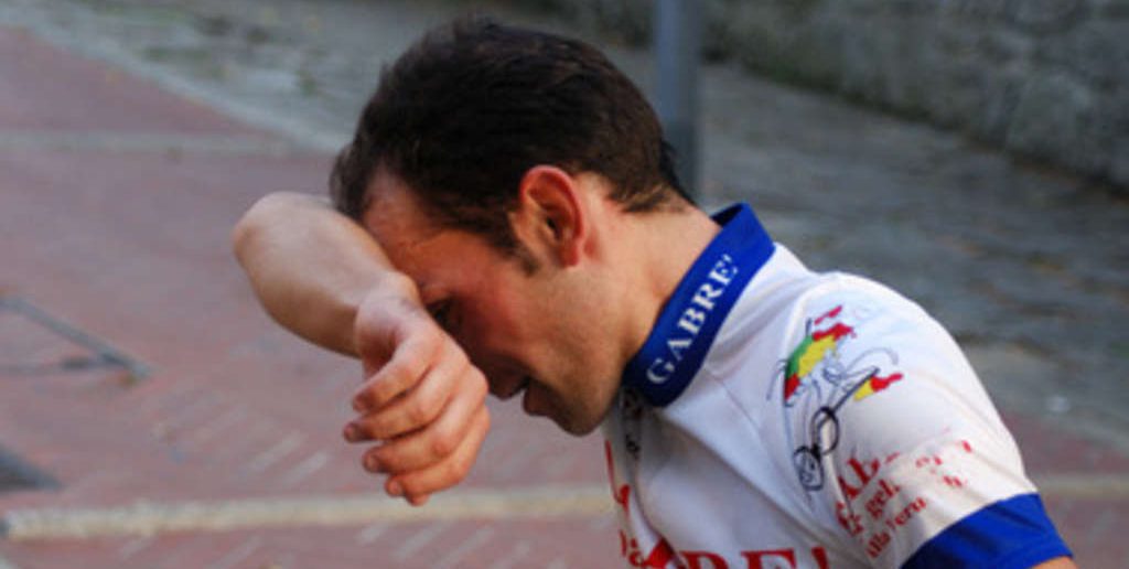 Das Modell des zentralen Regulators