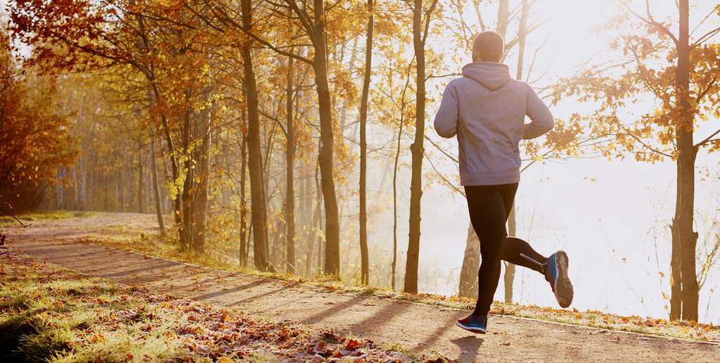 Wintertraining und Ernährung: Die Stärkung des Immunsystems