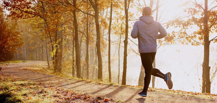 Wintertraining und Ernährung: Die Stärkung des Immunsystems