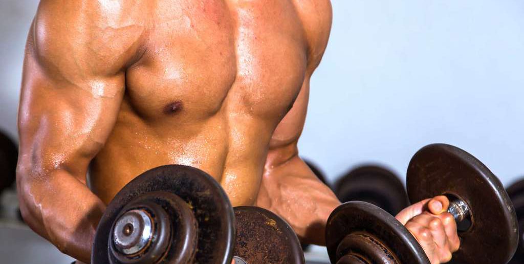 Muskelmasse: Trainingstipps und Ratgeber