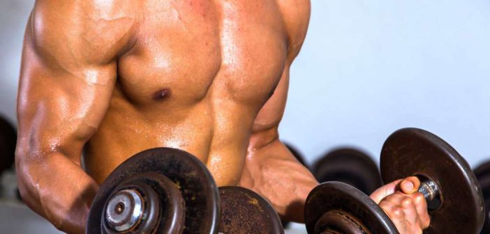 Muskelmasse: Trainingstipps und Ratgeber