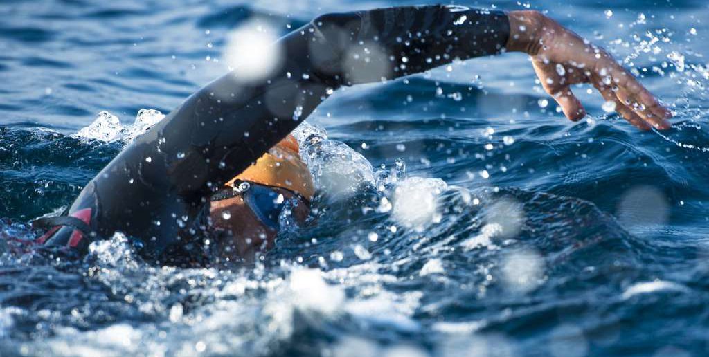 Kraulschwimmen im Triathlon: Übungen und Techniken