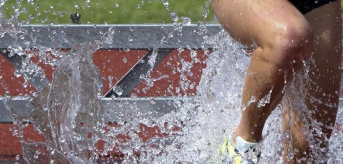 Schneller laufen: Effizientes Lauftraining mit dem richtigen Trainingsplan!