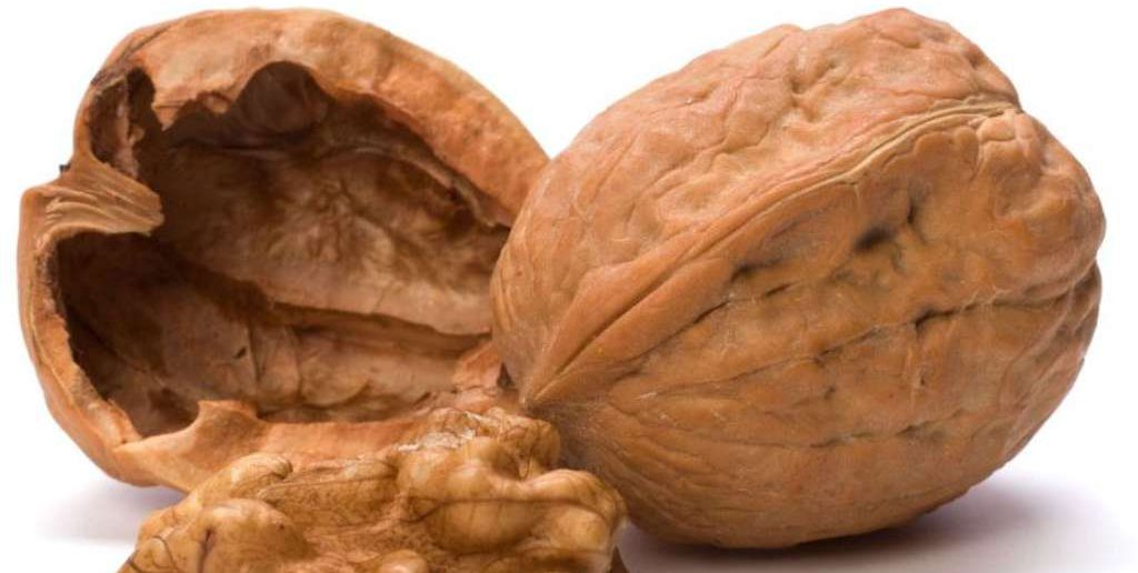 Welche Proteine wann einnehmen?