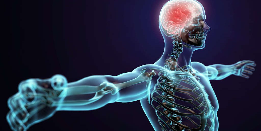 Neuroathletik Training zur Steigerung der mentalen und körperlichen Leistungsfähigkeit! Grundlagen✓ Training✓ Übungen✓ Gehirn✓ Patrick Meinart✓ Ausbildung✓