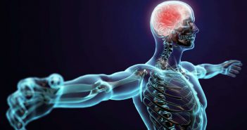 Wie überwinde ich mein Trainingsplateau? Mit Neuroathletik Training Neuroathletik Training zur Steigerung der mentalen und körperlichen Leistungsfähigkeit! Grundlagen✓ Training✓ Übungen✓ Gehirn✓ Patrick Meinart✓ Ausbildung✓