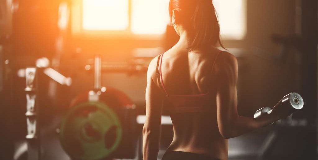 Ratgeber und Tipps rund um das Thema Fitness für Anfänger