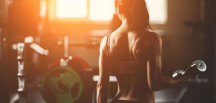 Ratgeber und Tipps rund um das Thema Fitness für Anfänger