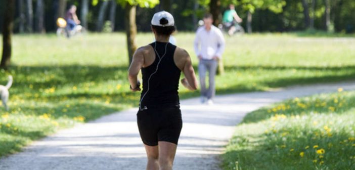 Waldboden oder Asphalt - Was ist der bessere Untergrund zum Laufen und worauf ist laufen am gesündesten? Lauftraining, Ratgeber, Lauftipps