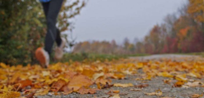 Sport im herbst