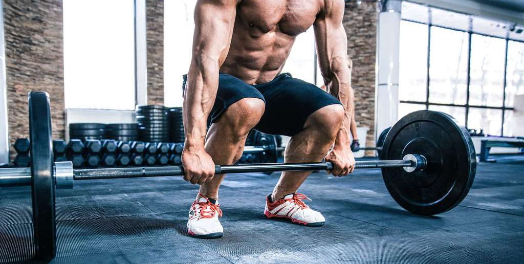 Maximalkrafttraining: Ratgeber & Studien zu effektivem Muskelaufbau und Kraftzuwachs: Übungen | Trainingspläne | Aufbau | Sätze