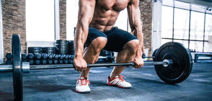 Maximalkrafttraining: Ratgeber & Studien zu effektivem Muskelaufbau und Kraftzuwachs: Übungen | Trainingspläne | Aufbau | Sätze