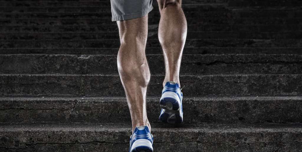 Oft ist die Plantare Fasciitis Grund für Fersenschmerz