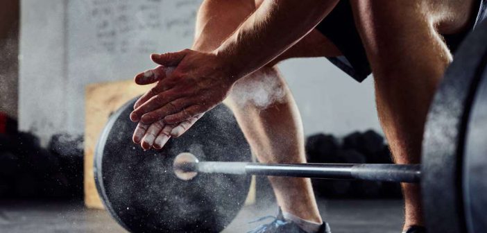 trainingstagebuch: wichtig für training, muskelaufbau und kraftaufbau