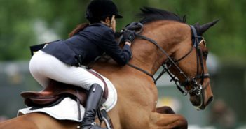 Springreiten: Den richtigen Absprungpunkt finden