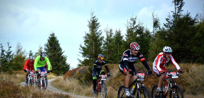 MTB-Training: Kraft und Ausdauer, Übungen, Ratgeber, Tipps