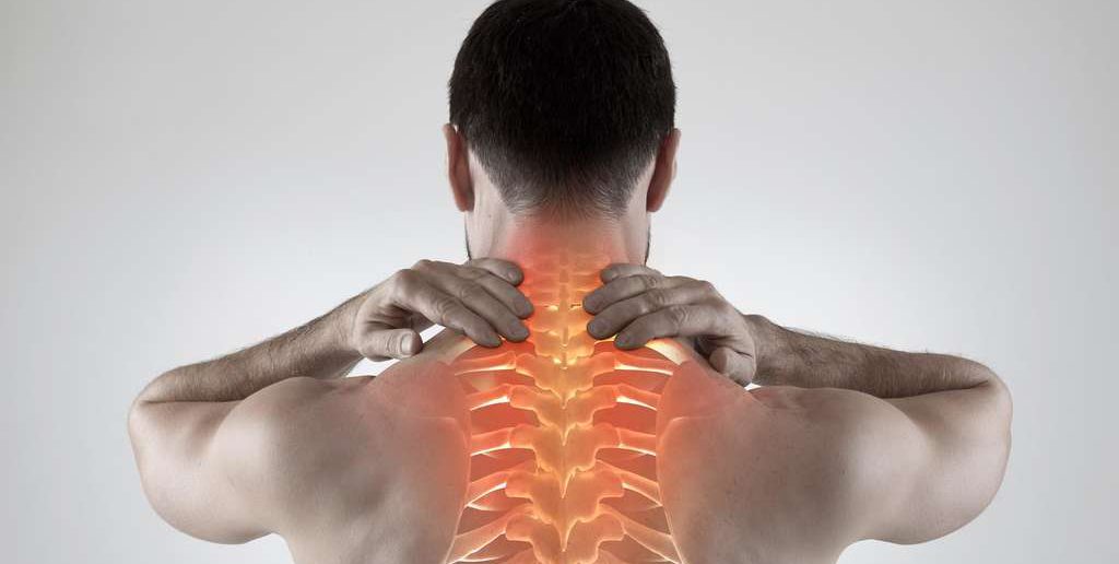 Rückenschmerzen selbst behandeln: 10 wirksame Regeln von Prof. Dr. McGill