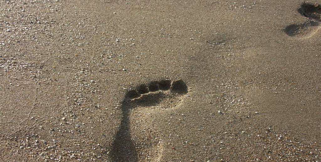 Sportverletzung: Achillessehnenruptur in der Leichtathletik