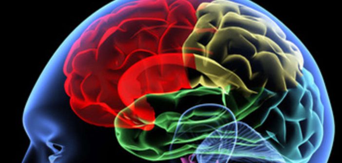 ZNS: Neurowissenschaftliche Erkenntnisse revolutionieren derzeit die Trainingslehre und den Spitzensport