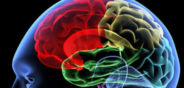 ZNS: Neurowissenschaftliche Erkenntnisse revolutionieren derzeit die Trainingslehre und den Spitzensport