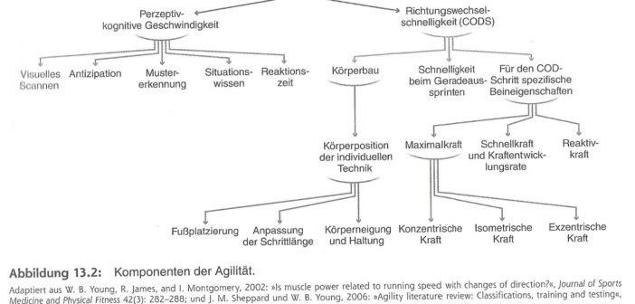 Komponenten der Agilität