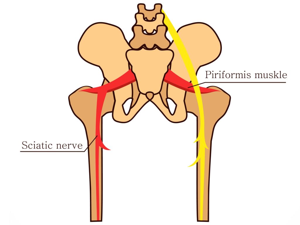 Tennisball piriformis triggerpunkte Blog Talk