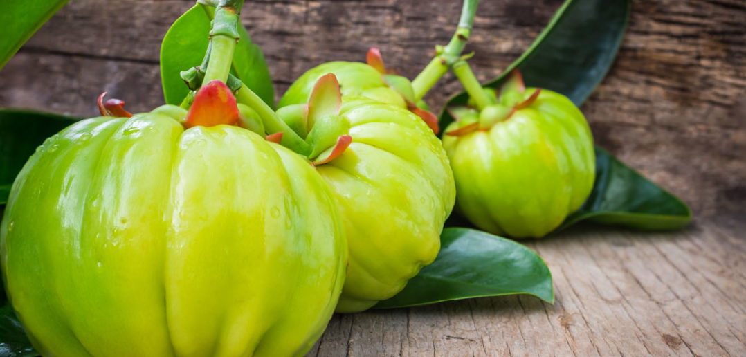 Der natürliche Fettverbrenner Garcinia Cambogia