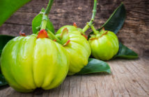 Der natürliche Fettverbrenner Garcinia Cambogia