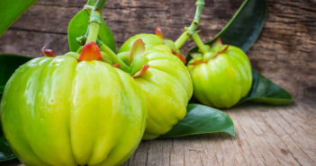 Der natürliche Fettverbrenner Garcinia Cambogia Der natürliche Fettverbrenner Garcinia Cambogia