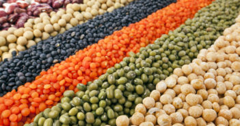 Die besten Proteinquellen für Veganer und Vegetarier