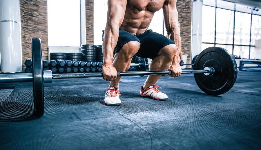 Körperfettanteil senken und hartnäckige Fettpolster loswerden: Ratgeber und Tipps, Diätplanung und Training