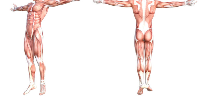 Was tun bei Muskelschmerzen