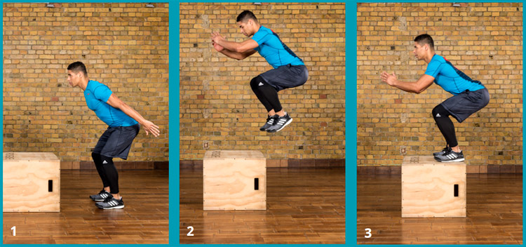 effektive Übungen für starke und gesunde Hamstrings