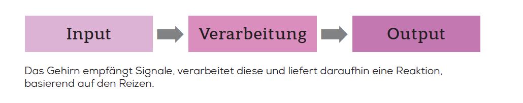 Zentralnervensystem