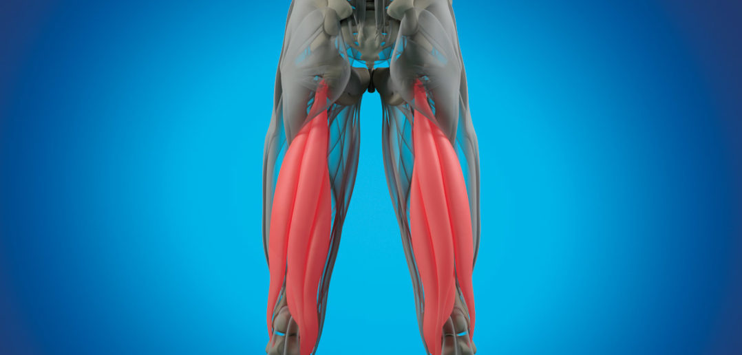 Übungen für starke und gesunde Hamstrings