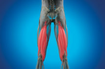 Übungen für starke und gesunde Hamstrings