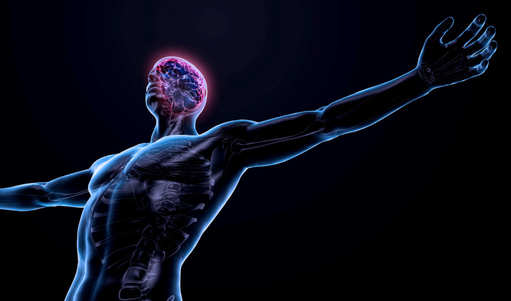 Neueste Erkenntnisse aus dem Neuro-Athletik-Training: Übungen für das zentrale Nervensystem