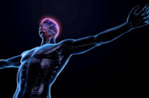 Neueste Erkenntnisse aus dem Neuro-Athletik-Training: Übungen für das zentrale Nervensystem
