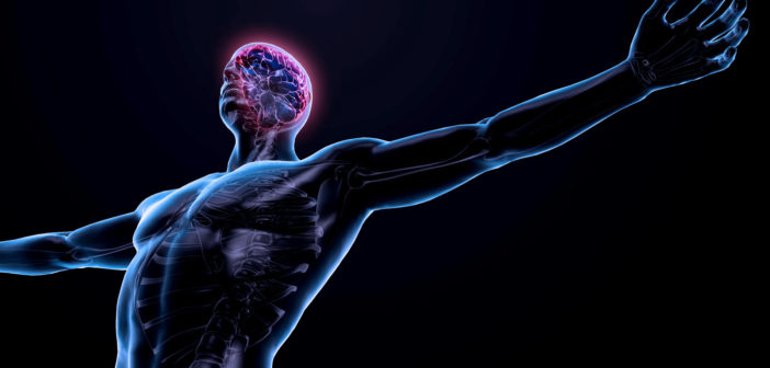 Neueste Erkenntnisse aus dem Neuro-Athletik-Training: Übungen für das zentrale Nervensystem