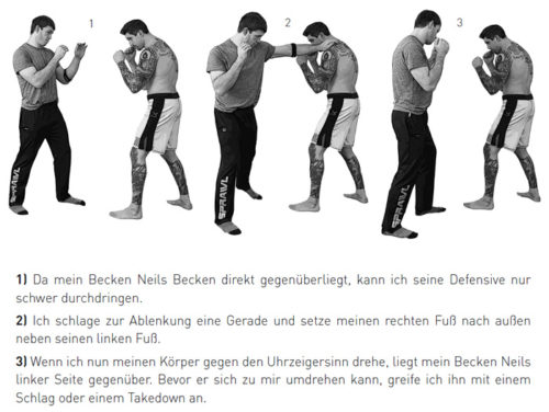 Mma Anfänger Mma Anfänger