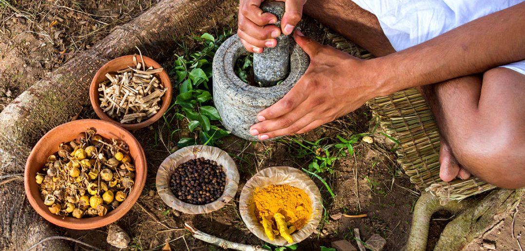 Ayerveda erklärt von Ayurveda-Experten