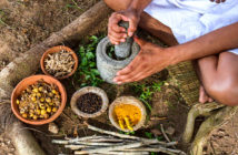 Ayerveda erklärt von Ayurveda-Experten