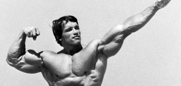 Bodybuilding für Anfänger